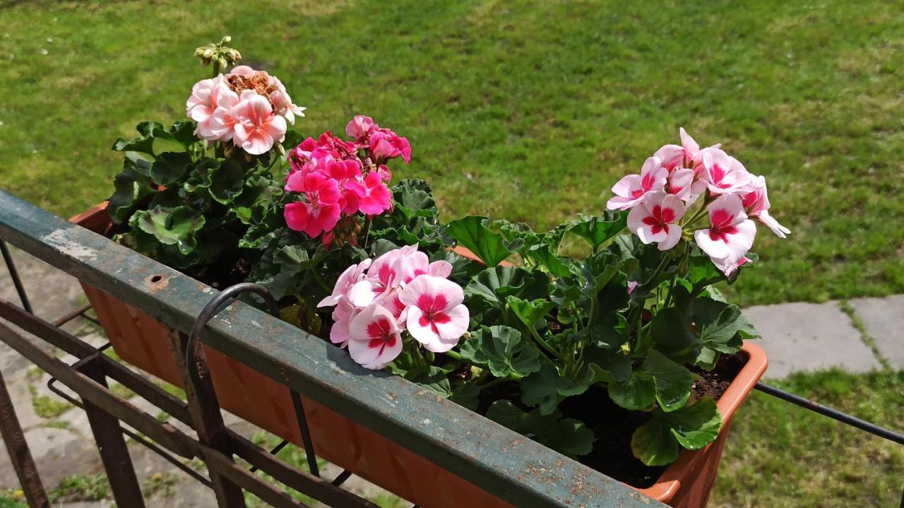 Retro & Garden