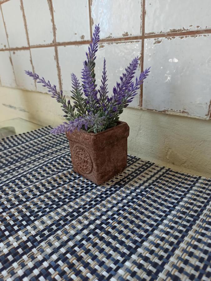 Retro & Garden Хостел *