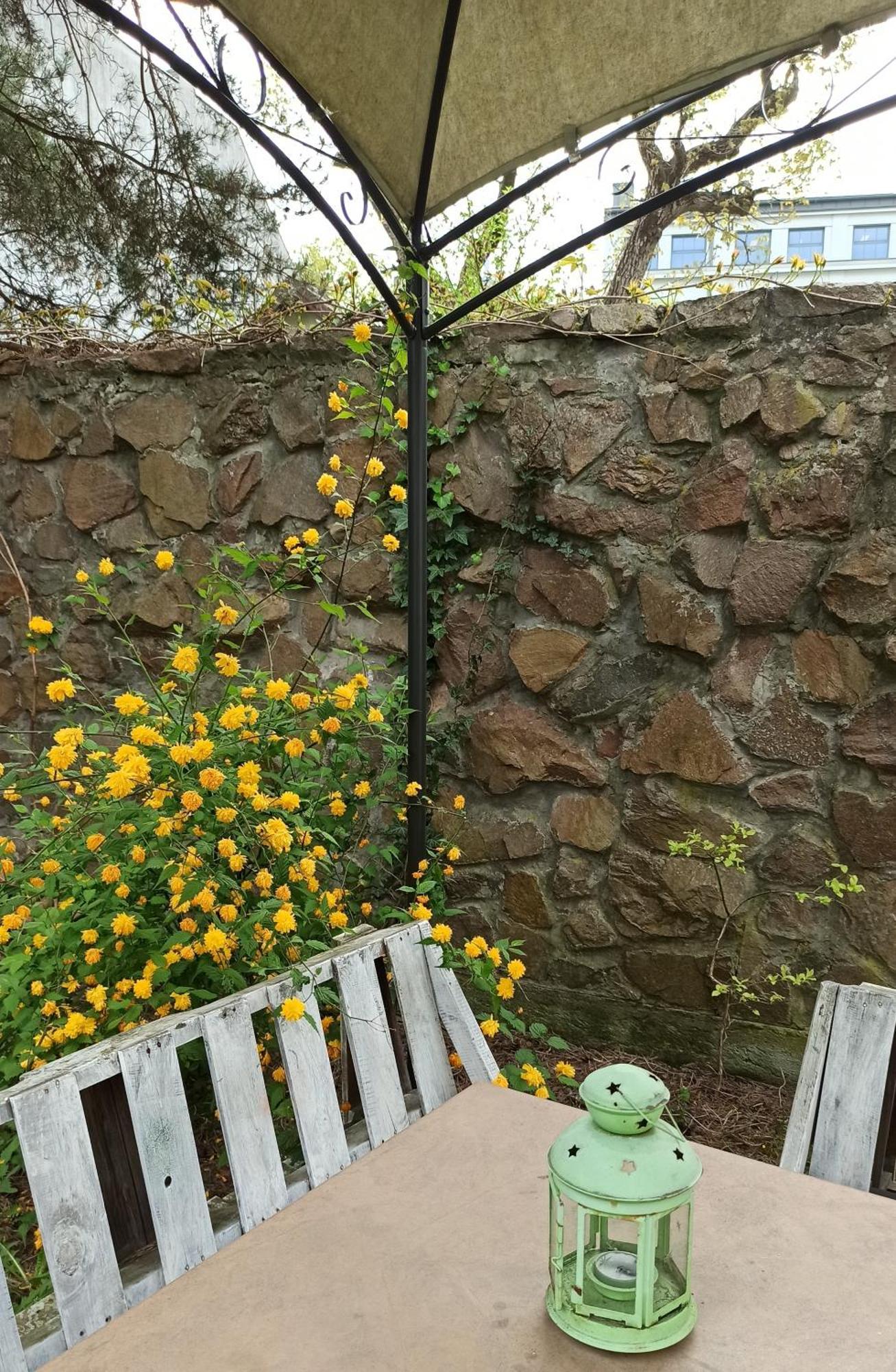 Retro & Garden