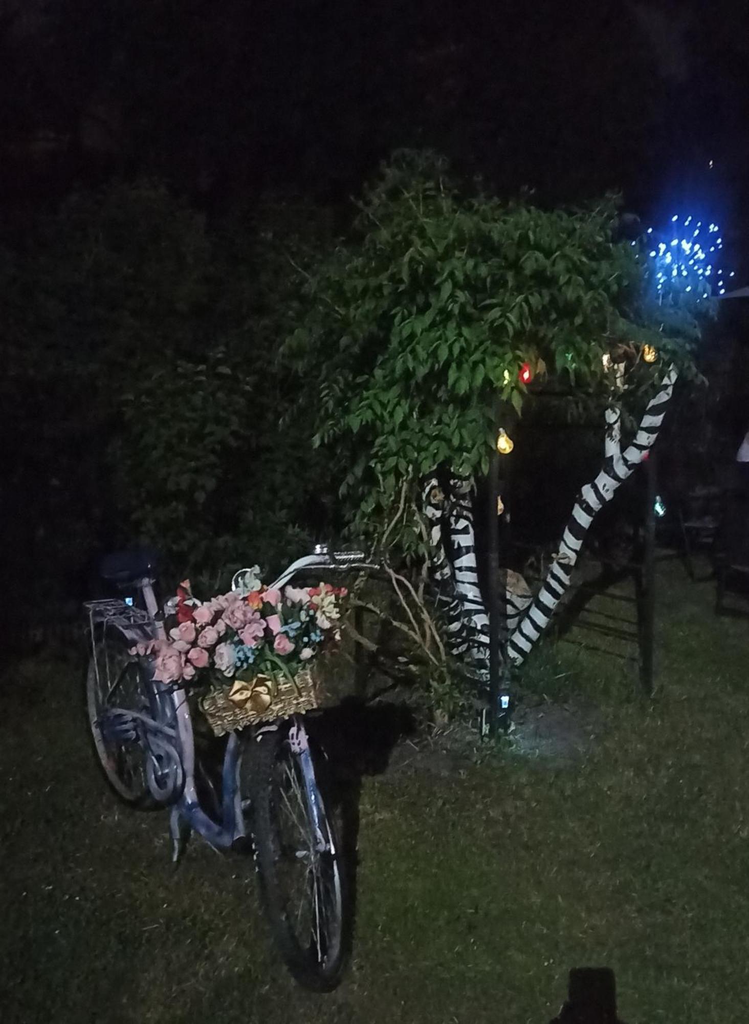 Хостел Retro & Garden