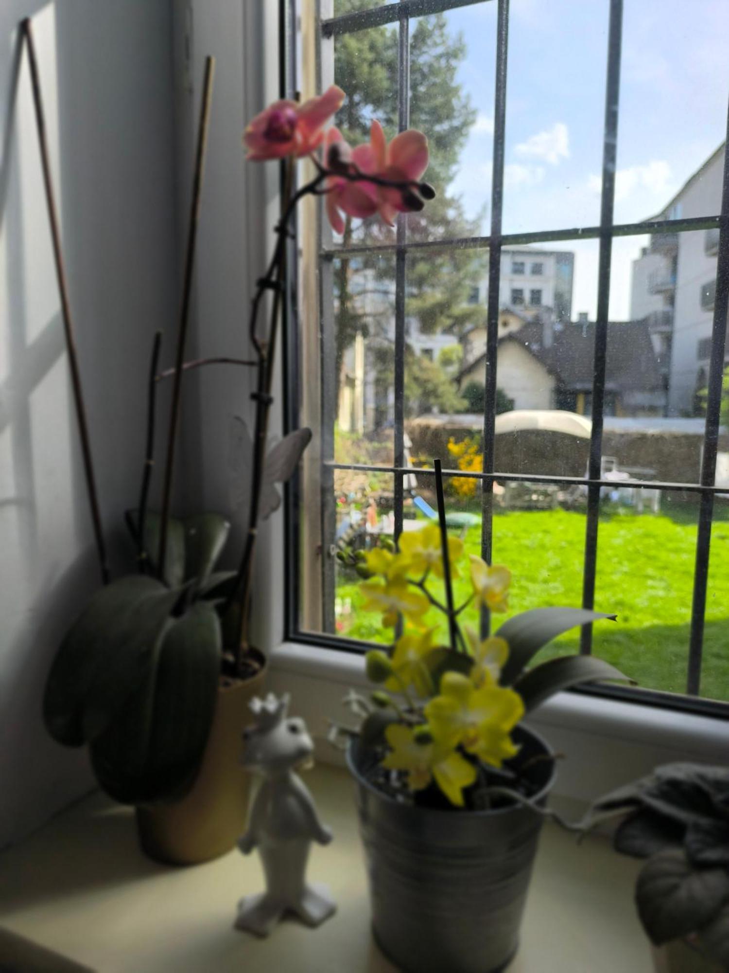 Retro & Garden Хостел *